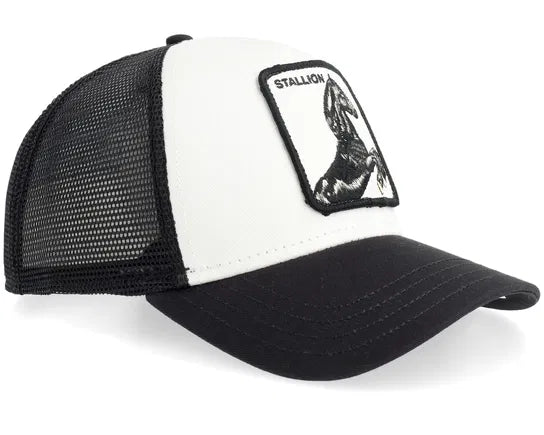 Chapéu Goorin Bros Preto e Branco Stallion SS26