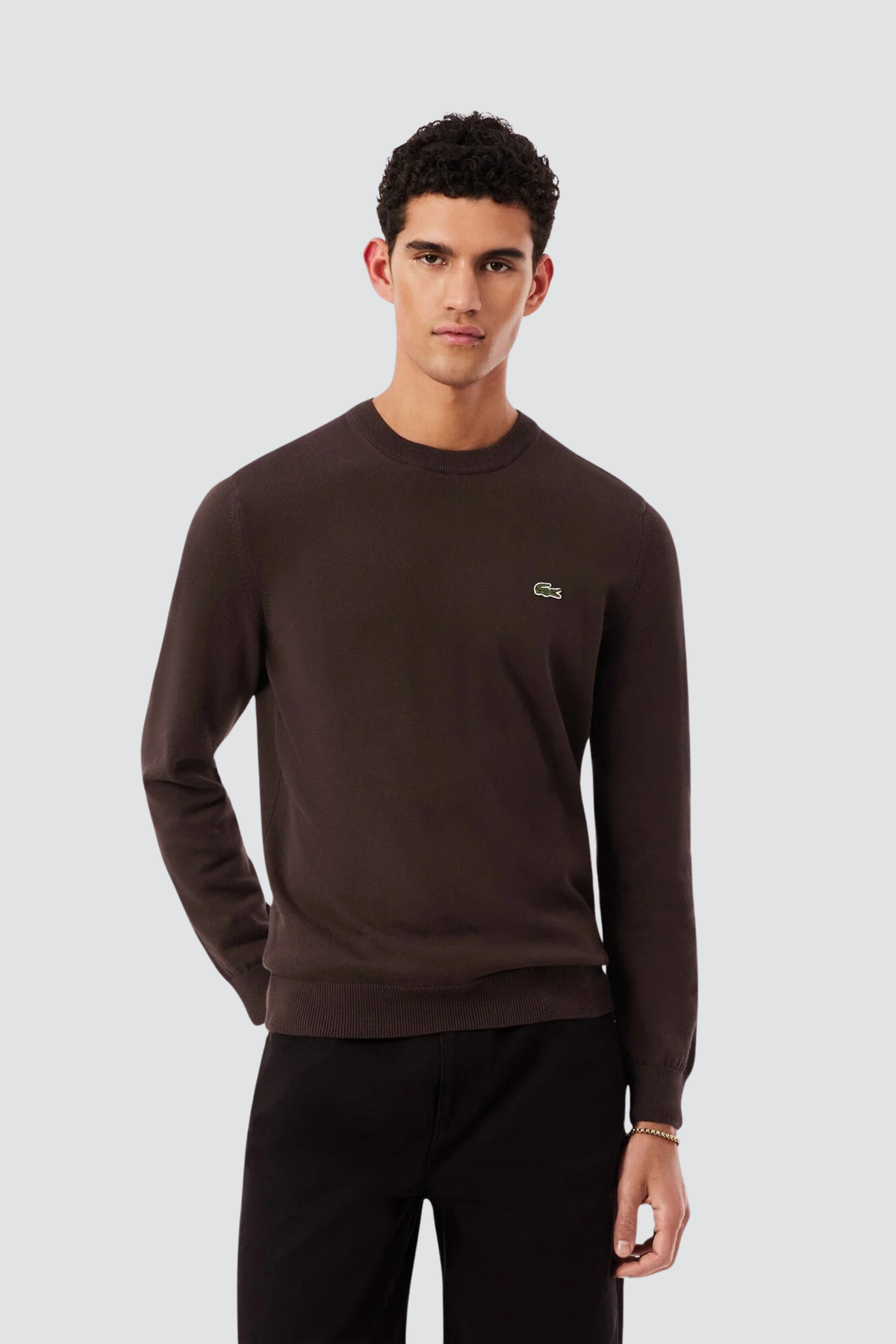 Camisola de Malha Castanho Chocolate Lacoste
